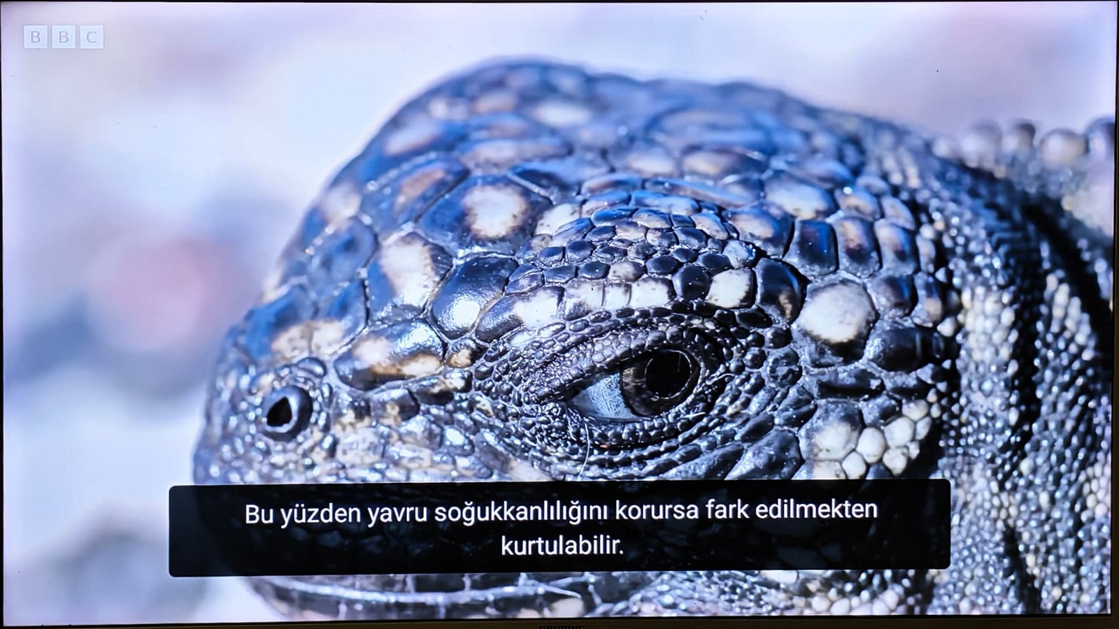 Televizyonda YouTube videosu üzerinde Evri Text Türkçe altyazısı